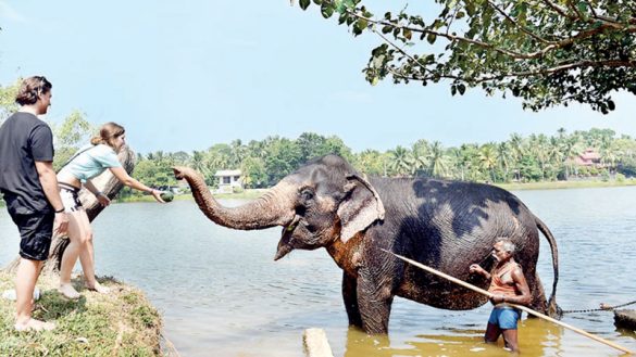 சுற்றுலா அபிவிருத்தி அதிகாரசபை வெளியிட்டுள்ள அறிவிப்பு!