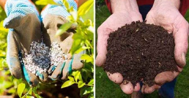 கொப்போஸ் உர இறக்குமதியை தற்காலிகமாக இடைநிறுத்த அரசாங்கம் தீர்மானம்!