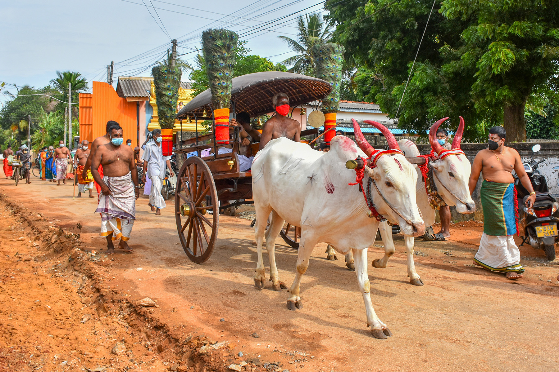 நல்லூர் கந்தசுவாமி ஆலய மகோற்சவம் – கொடிச்சீலை எடுத்துவரும் நிகழ்வு