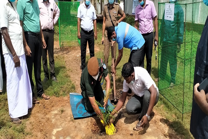 கிளிநொச்சி கண்டாவளை பிரதேச செயலகத்தில் மரநடுகை நிகழ்வு!
