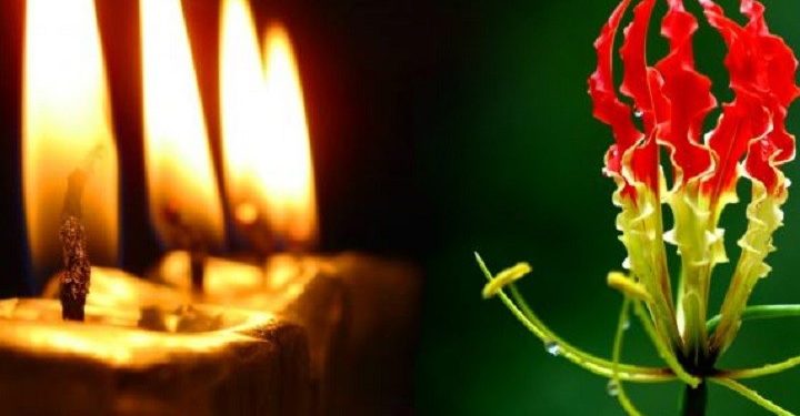 மாவீரர் வாரம் இன்று ஆரம்பம் – நிகழ்வுகளை நடத்துவதற்கு பல இடங்களில் தடை!