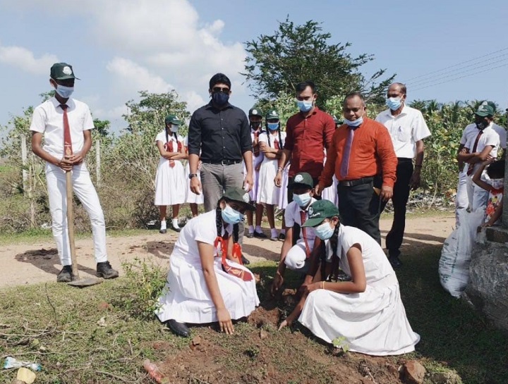 கல்முனையில் ஒரு இலட்சம் பனை மரங்கள் உருவாக்கும் வேலைத்திட்டம் ஆரம்பம்