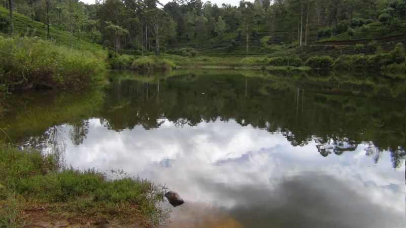 தலவாக்கலை – மீன்வளர்ப்பு நீர்தேக்கத்தில் இருந்து 3 பிள்ளைகளின் தாய் சடலமாகக் கண்டெடுப்பு!