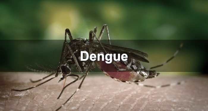மீண்டும் தீவிரமடையும் டெங்கு ஜனவரியில் மாத்திரம் 7702 நோயாளர் பதிவு!