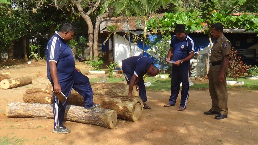 வவுனியா கூமாங்குளத்தில் 10 இலட்சம் ரூபா பெறுமதியான முதிரை குற்றிகள் மீட்பு!