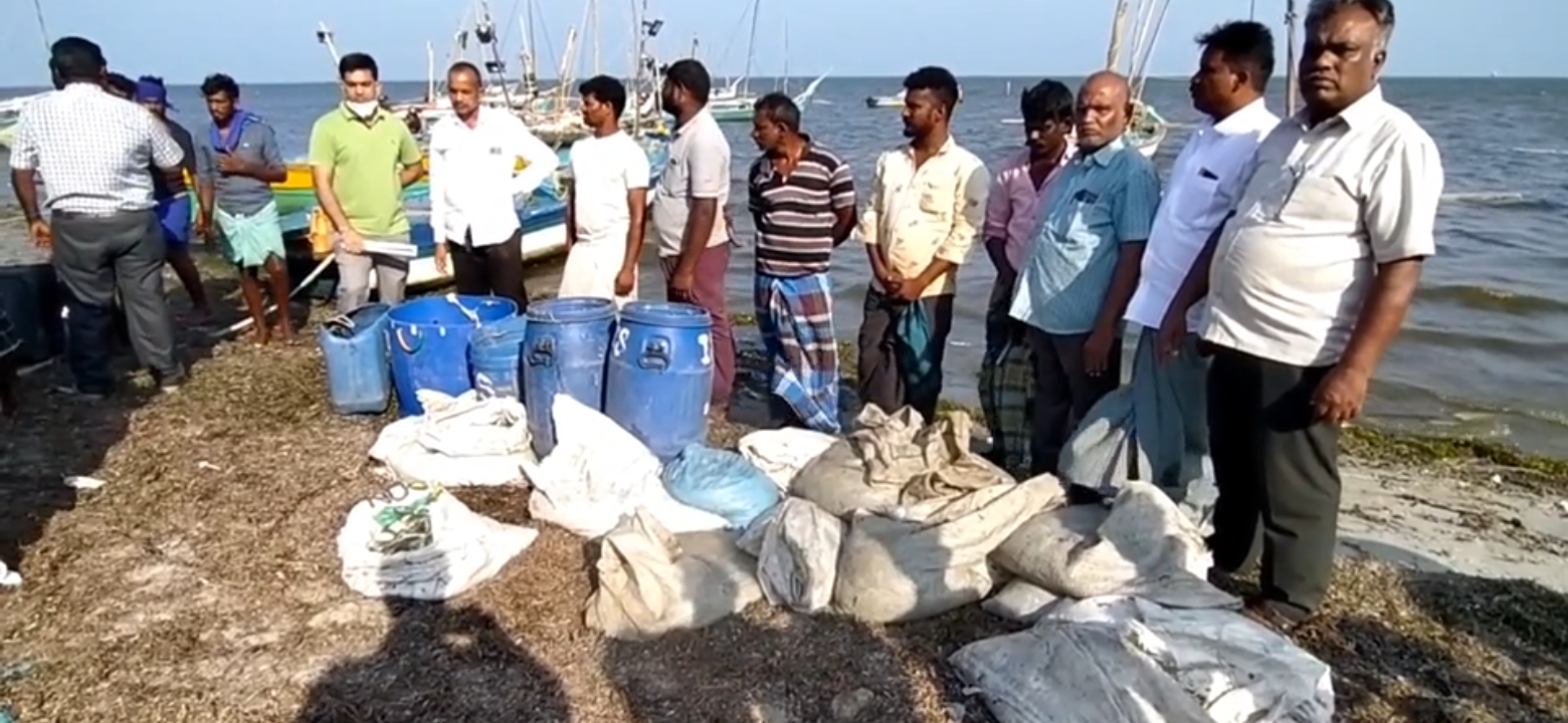 இலங்கைக்கு கடல் அட்டைகளை கடத்த முயன்ற மூவர் கைது!