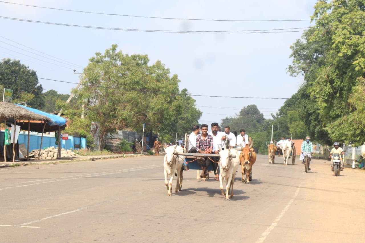 மாட்டுவண்டியில் அமர்விற்குச்சென்ற கரைதுறைப்பற்று பிரதேசசபை உறுப்பினர்கள்!