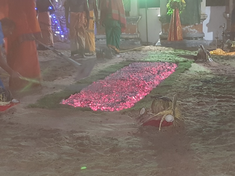 மகிழூர் குளக்கட்டு அன்னை ஸ்ரீமுத்துமாரியம்மன் தீ மிதிப்பு!