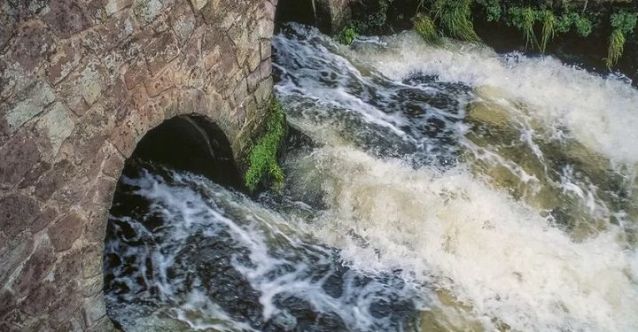 பிரான்ஸ் கடற்கரையில் சுகாதாரம்- கடல்வாழ் உயிரினங்களை பிரித்தானியா அச்சுறுத்துகிறது: யூரோ நாடாளுமன்ற உறுப்பினர்கள்!