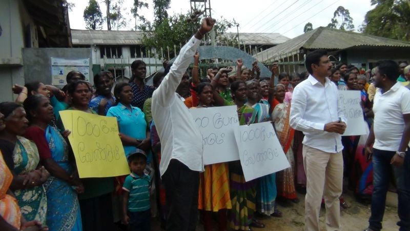 நாட் சம்பளத்தை 1000 ரூபாவாக அதிகரிக்குமாறு கோரி மஸ்கெலியாவில் தோட்டத்தொழிலாளர்கள் போராட்டம்!