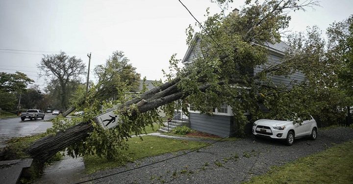 கனடாவை தடம்புரட்டிய ‘பியோனா புயல்’: லட்சக்கணக்கான மக்களுக்கு மின்தடை!