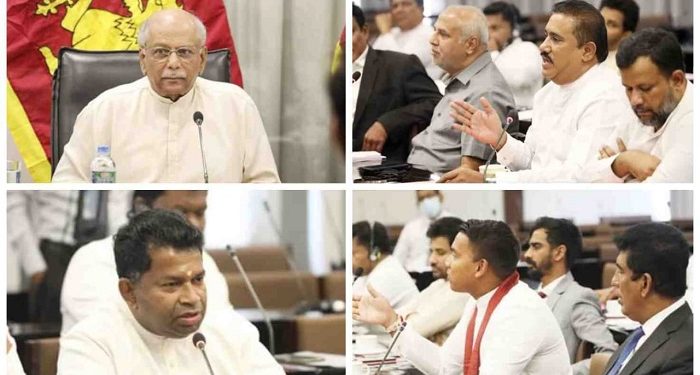 தேசிய கொள்கைகள் மற்றும் பொருளாதார ஸ்திரப்படுத்தல் தொடர்பான 2 உப குழுக்களை அமைக்க தேசிய பேரவை தீர்மானம்!