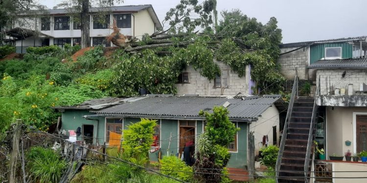 ஹட்டன் – காமினிபுரவில் வீடொன்றின் மீது மரக்கிளை வீழ்ந்து இருவர் காயம்!