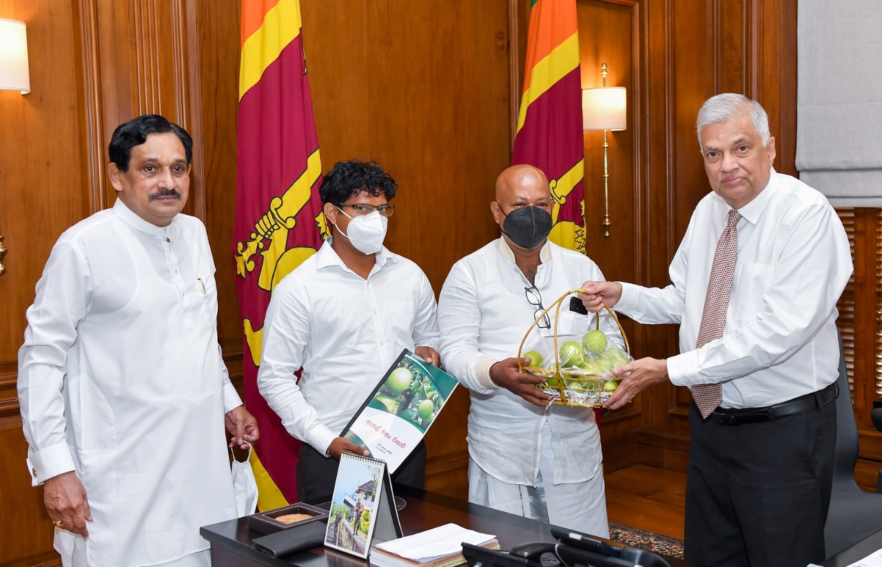 இலங்கையில் பச்சை நிற அப்பிள் உற்பத்தி – முதல் பழம் ஜனாதிபதியிடம் னையளிப்பு