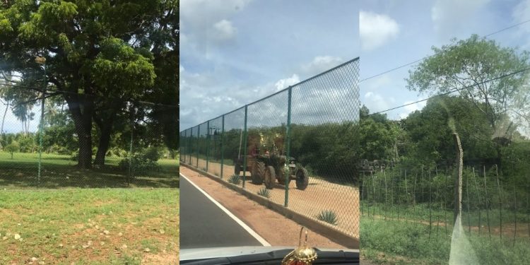 உயர் பாதுகாப்பு வலயத்துக்காக யாழில் 1,614.11 ஏக்கர் நிலத்தை சுவீகரிக்க முயற்சி : விவசாயத்தில் ஈடுபடும் இராணுவம்