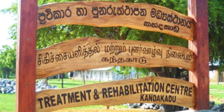 கந்தக்காடு புனர்வாழ்வு மையத்தில் இருந்து தப்பிச்சென்ற 50 கைதிகளில் 35 பேர் சரண்!