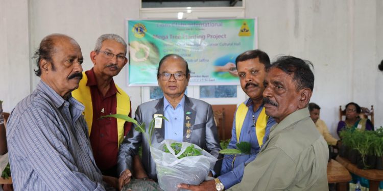 யாழில் மரக்கன்றுகள் வழங்கி வைப்பு!