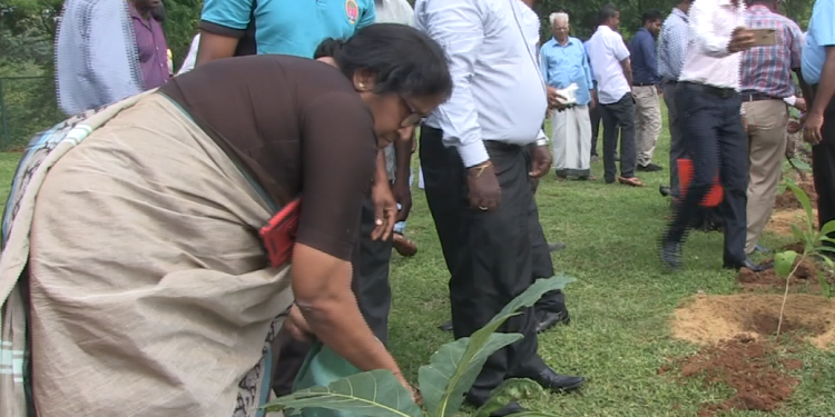 கிளிநொச்சியில் “மரம் நடுவோம் தேசத்தை காப்போம்” எனும் தொனிப்பொருளில் மரம் நடுகை முன்னெடுப்பு