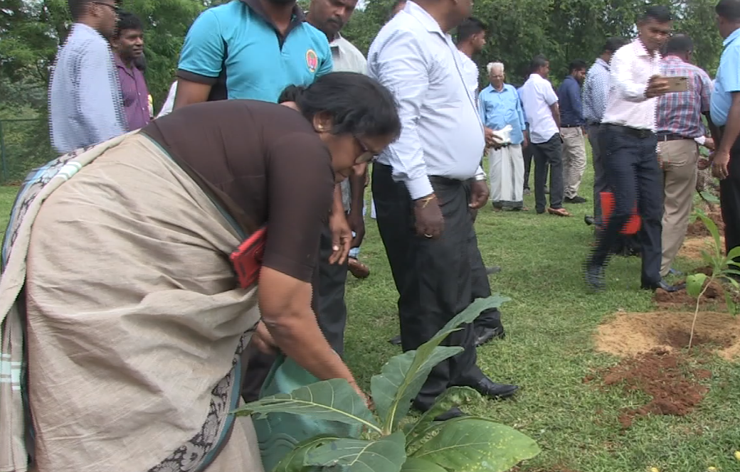 கிளிநொச்சியில் “மரம் நடுவோம் தேசத்தை காப்போம்” எனும் தொனிப்பொருளில் மரம் நடுகை முன்னெடுப்பு