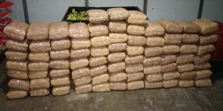 180 கிலோ கஞ்சாவுடன் யாழில் ஒருவர் கைது!