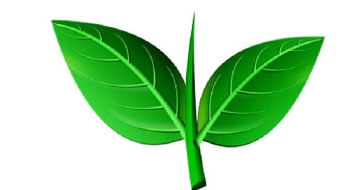 இரட்டை இலை சின்னத்தை பயன்படுத்த அனுமதி கோர தீர்மானித்தது எடப்பாடி தரப்பு!