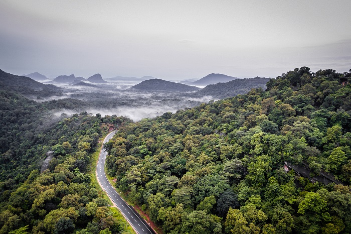 இலங்கையின் வனப் பரப்பு 16% குறைந்துள்ளதா ? வனப் பாதுகாப்புத்துறை விளக்கம்