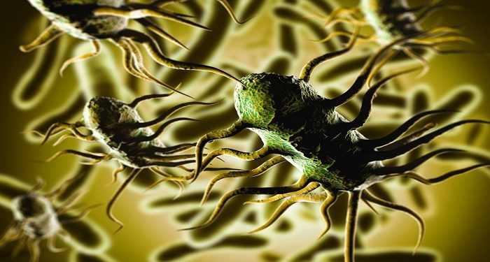 லிஸ்டீரியா குறித்து அச்சப்பட வேண்டாம் என அறிவுறுத்தல்!