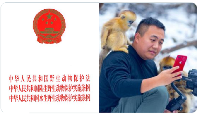 குரங்குகள் ஏற்றுமதிக்கும் தமக்கும் எந்த தொடர்பும் இல்லை – சீன அரசாங்கம்