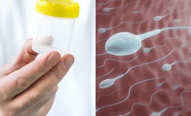 சிறைச்சாலையில் அதிகரிக்கும்  விந்தணுக் கடத்தல்; இதுவரை 100 குழந்தைகள் பிறப்பு