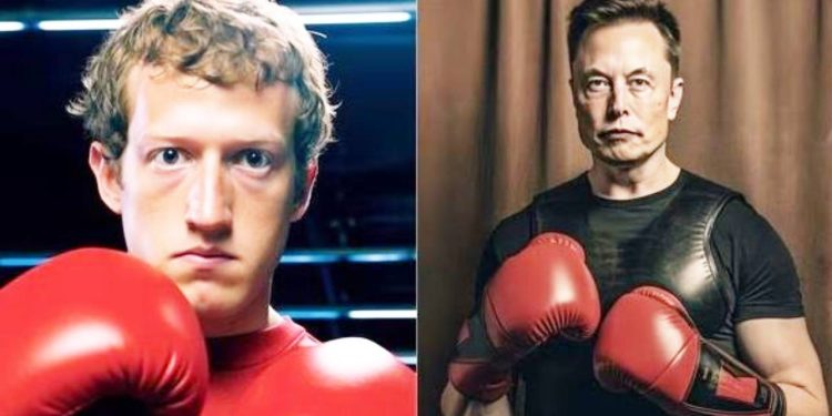 சண்டைக்குத் தயார் : எலோனின் சவாலை ஏற்ற மார்க்