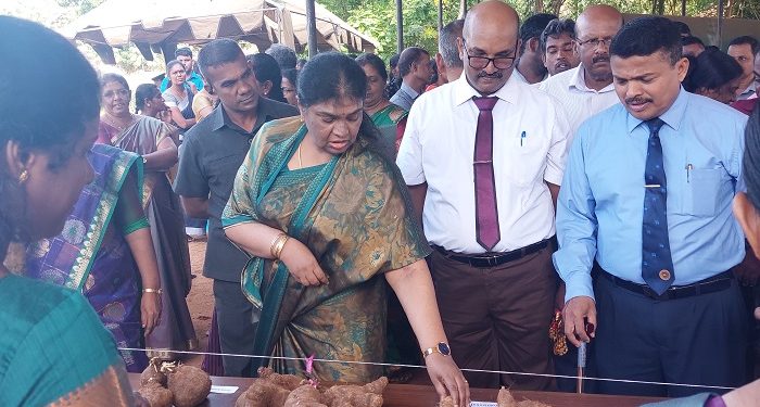 சிறுதானிய உணவு ஊக்குவிப்புக் கண்காட்சி யாழில் முன்னெடுப்பு!