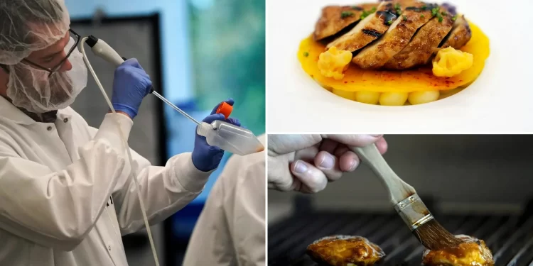 செயற்கை இறைச்சிக்கு அமெரிக்கா பச்சைக் கொடி