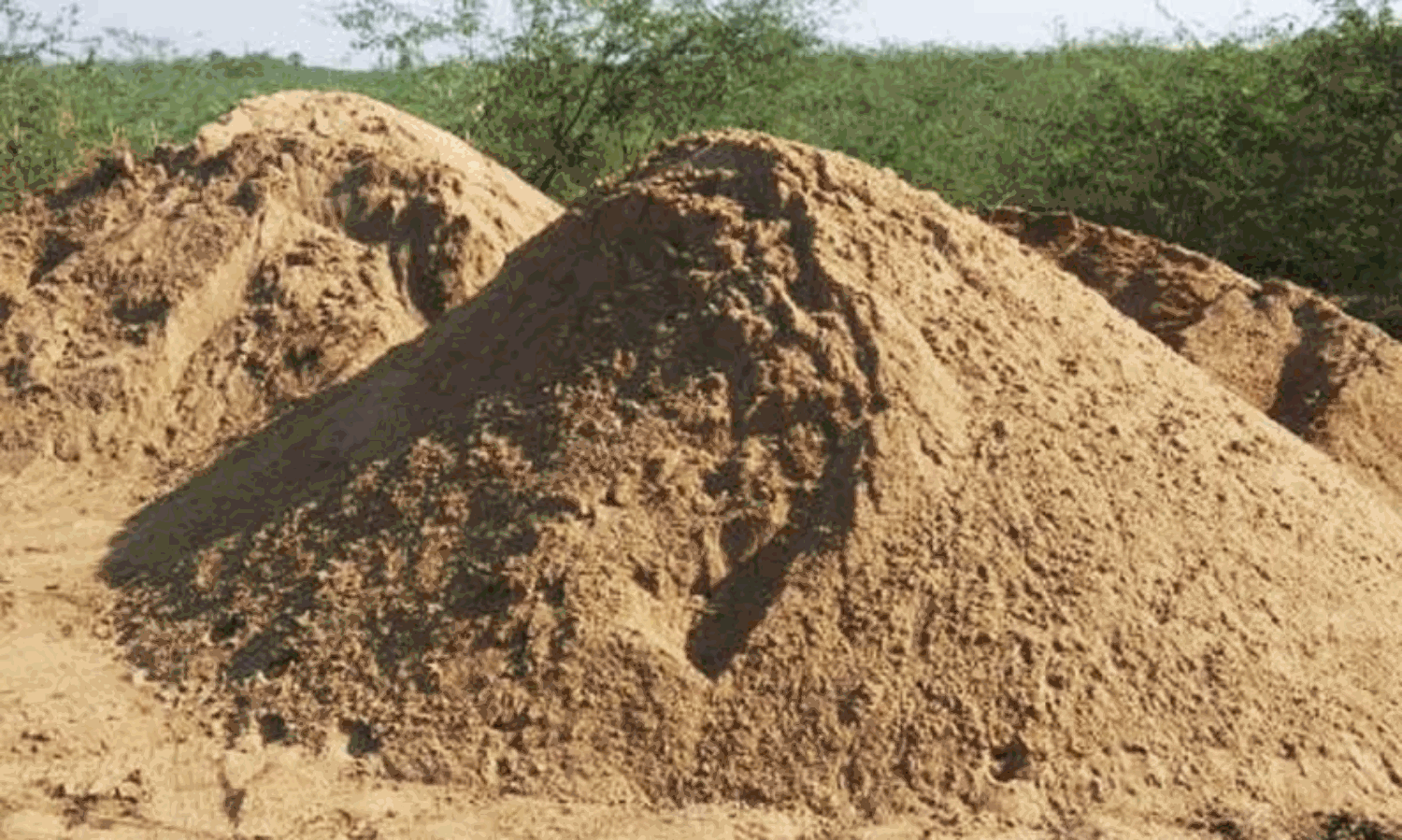 அராலியில் மணல் கொள்ளை: ஒன்று திரண்ட மக்கள்