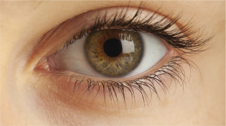 உலகம் முழுவதும் வாழும் இலங்கையின் கண்கள்