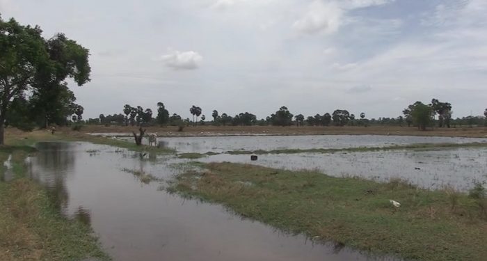 வீணடிக்கப்படும் இரணைமடுக் குளத்தின் நீர் : அதிகாரிகள் அசமந்தம்!