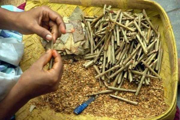 பீடி கைத்தொழிலை முறையாக நடத்துவதற்கு யோசனை