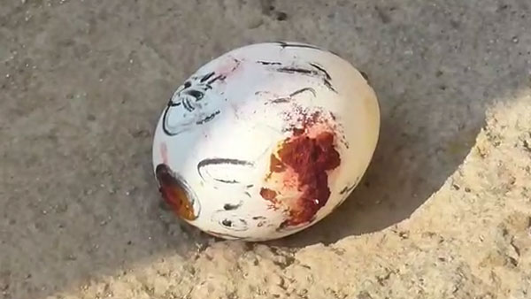 திருடு போன 64 ஆயிரம் ரூபா : முட்டை மீது சத்தியம் வாங்கிய அதிபர்