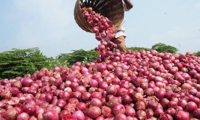 பெரிய வெங்காயத்தின் விலையைக் குறைக்க நடவடிக்கை!