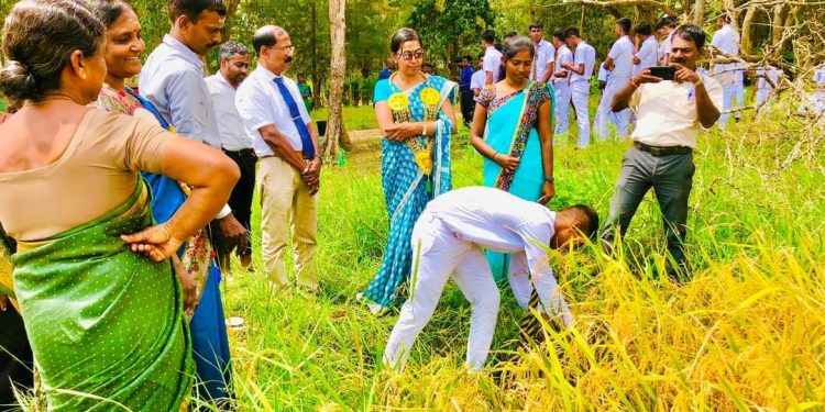 FB_IMG_1707487476350-e1707566658330-750x