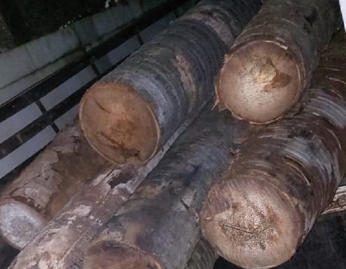 சட்டவிரோதமாக பனைமரக் குற்றிகளை ஏற்றிச் சென்றவர் கைது!