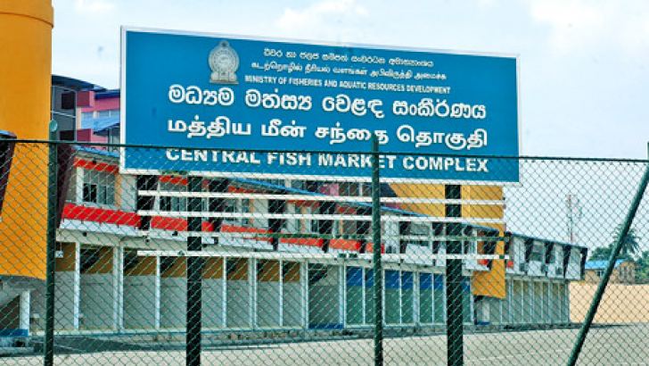 பேலியகொடை மீன் சந்தை வளாகத்தில் சோலார் சிஸ்டம் வேலைத்திட்டம் அறிமுகம்!