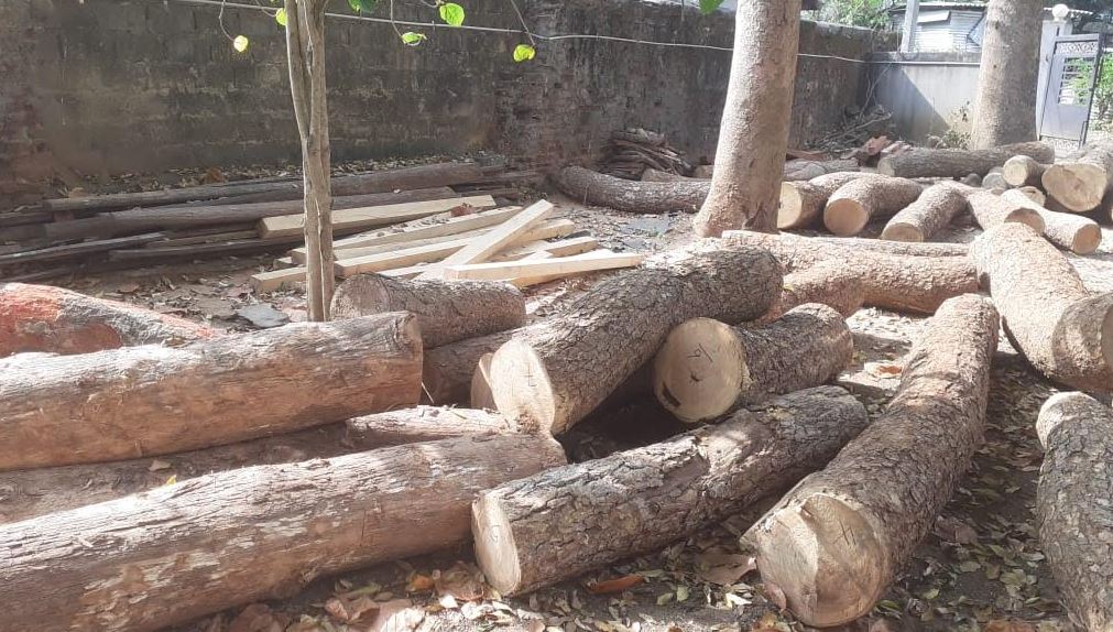 யாழில் பாலை,முதிரைக் குற்றிகளைப் பதுக்கி வைத்திருந்த இருவர் கைது!