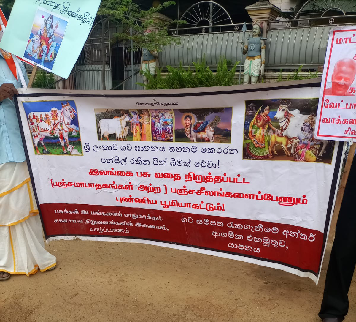 பசுவதைக்கு எதிராக யாழில் போராட்டம்!