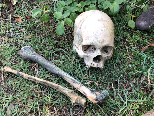 மட்டக்களப்பில் மனித எச்சங்கள் மீட்பு – வெளியான சந்தேகங்கள்!