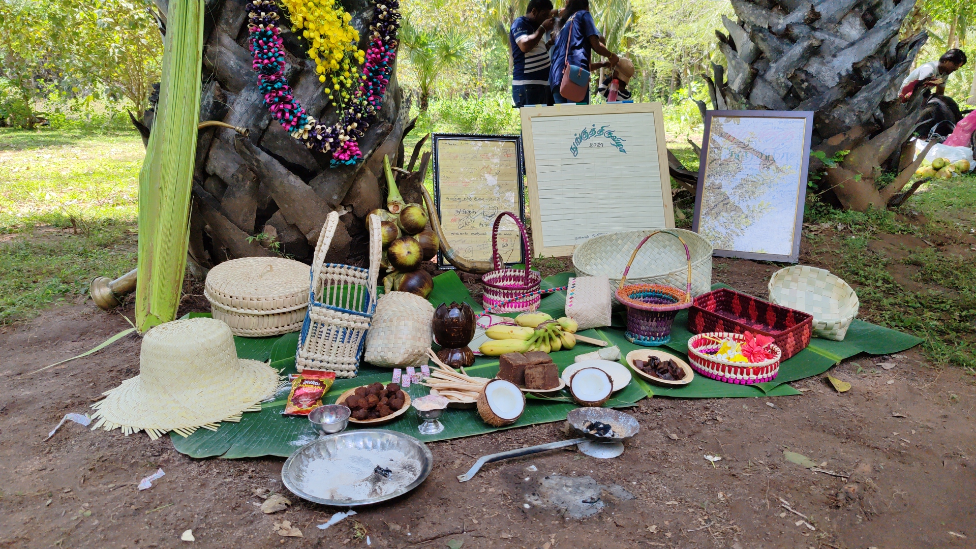 வவுனியாவில் நுங்குத் திருவிழா!