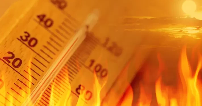 high-temperatures-711x375.webp