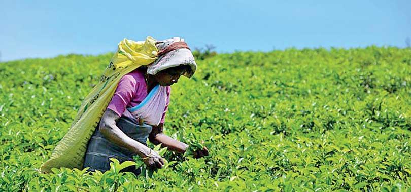 1,700 ரூபா சம்பளம் தொடர்பில்  தொழில் திணைக்களத்தின் அறிவிப்பு!