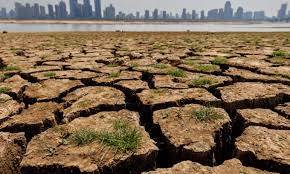 வறட்சியான காலநிலை காரணமாக  4,982 பேர் பாதிப்பு!