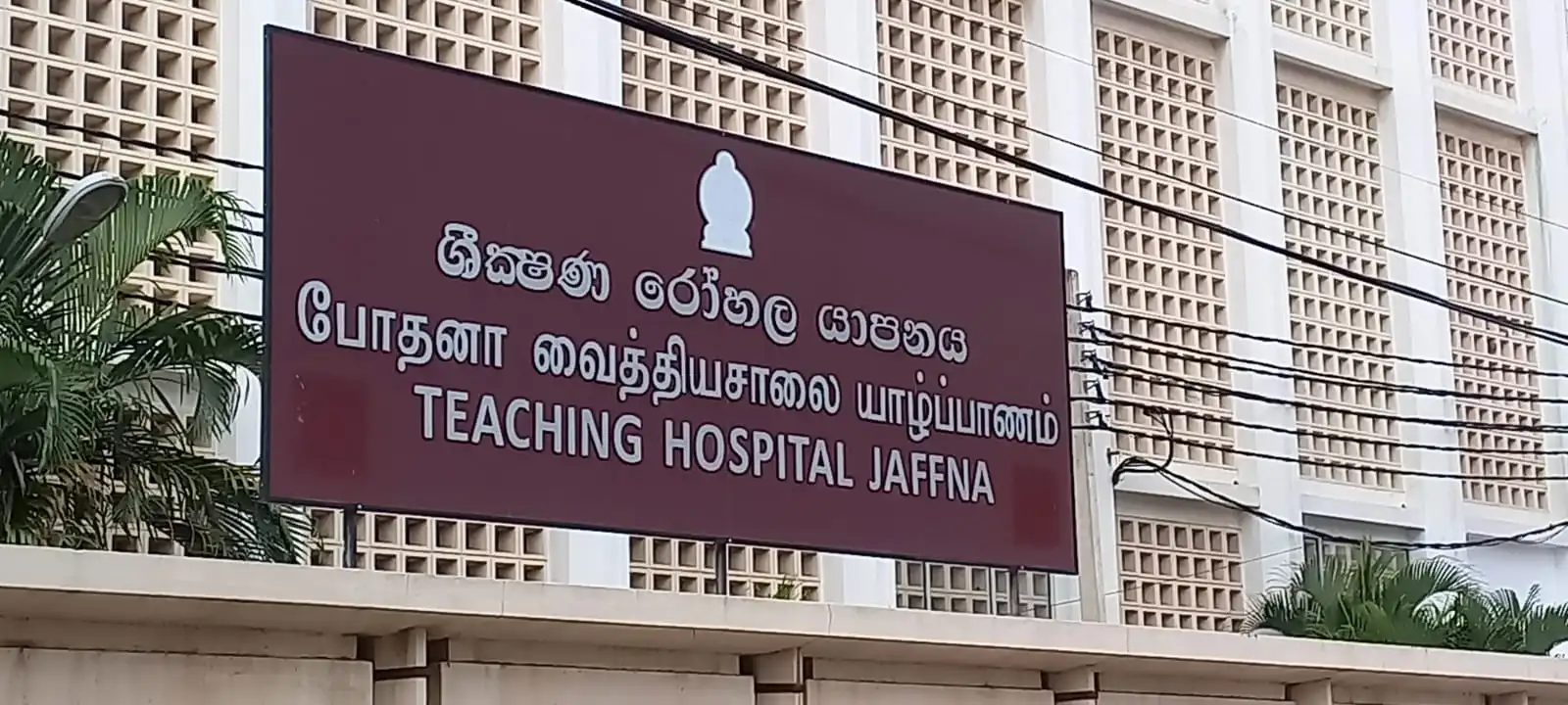 யாழ்.போதனா வைத்தியசாலையில் குழப்பத்தில் ஈடுபட்ட கும்பலைக் கைது செய்ய நடவடிக்கை!