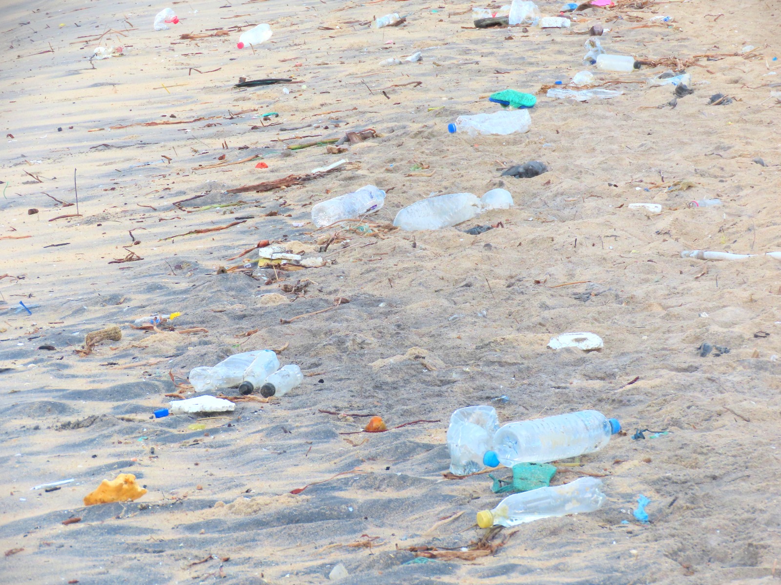 காரைதீவு கடற்கரையோரங்களில் உள்ள பிளாஸ்டிக் கழிவுகளை அகற்றமாறு கோரிக்கை